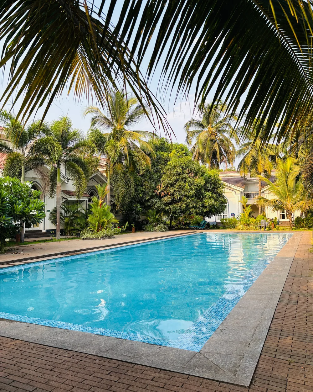 A palm-lined pool in the tropics