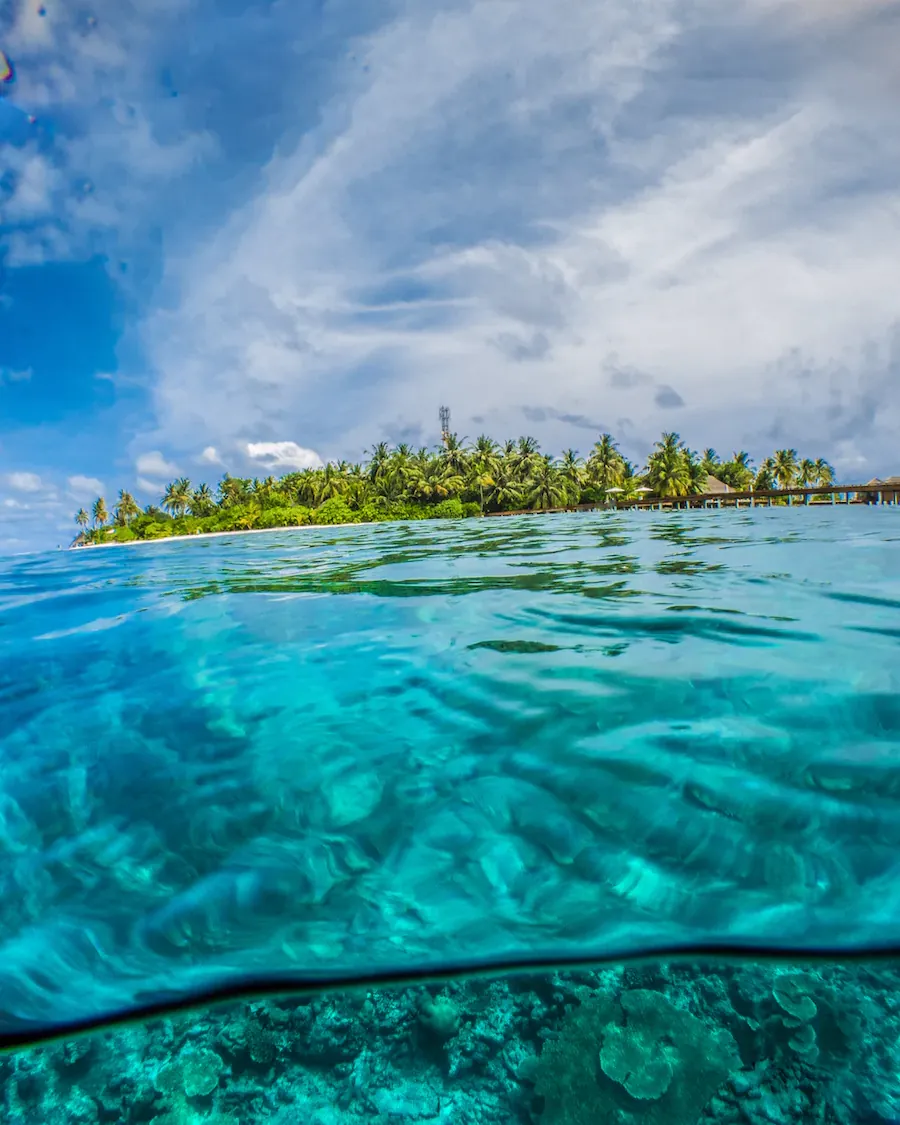 A small palm-covered island ringed by clear turquoise water
