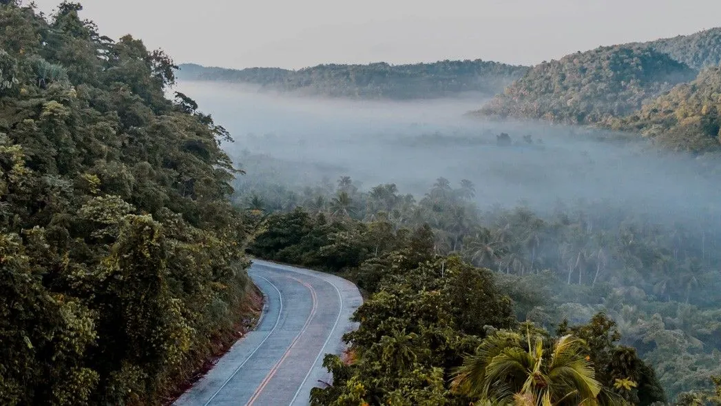 A winding road through misty jungle hills in Siargao