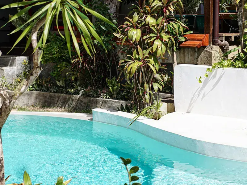 The resort pool framed by palms and jungle