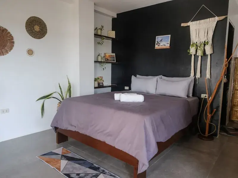 A deluxe room with a dark feature wall and macrame