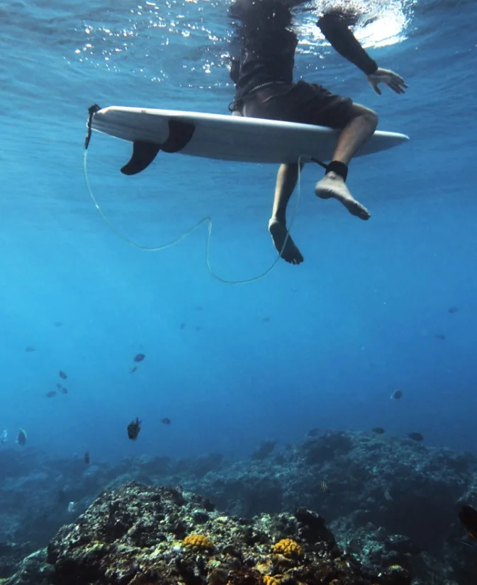 A surfer paddling out, seen from under the water