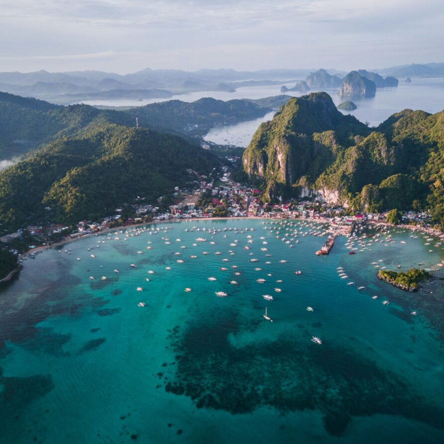 El Nido Canopy Walk & View Deck Experience